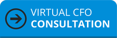 Virtual CFO Consultation
